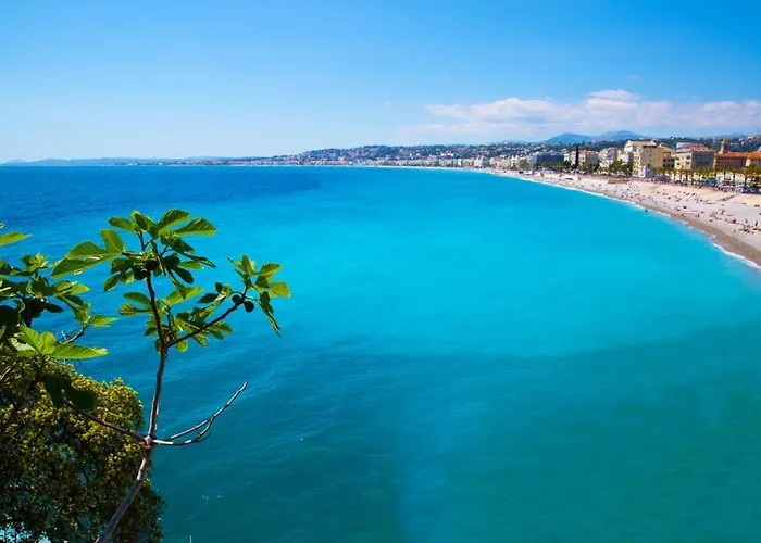 Spacieux Et Moderne T2 - Hyper Centre