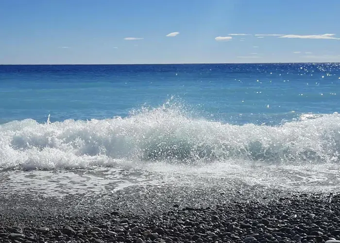 Spacieux Et Moderne T2 - Hyper Centre