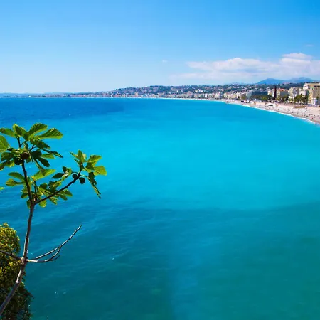 Spacieux Et Moderne T2 - Hyper Centre